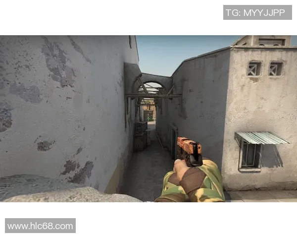 CSGO战术分析：深入探讨BLG团队包夹战术的执行与效果